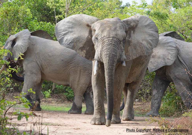 Ecotourism in Ghana