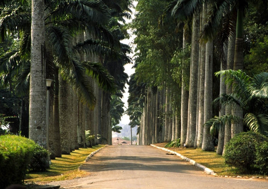 Aburi Botanical Gardens Touringghana Aburi Botanical Gardens Touringghana